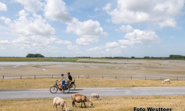 Fietsen door het verleden: Nieuwe virtual reality kijker in hartje Brugge vertelt over de “Verdwenen Zwinhavens”